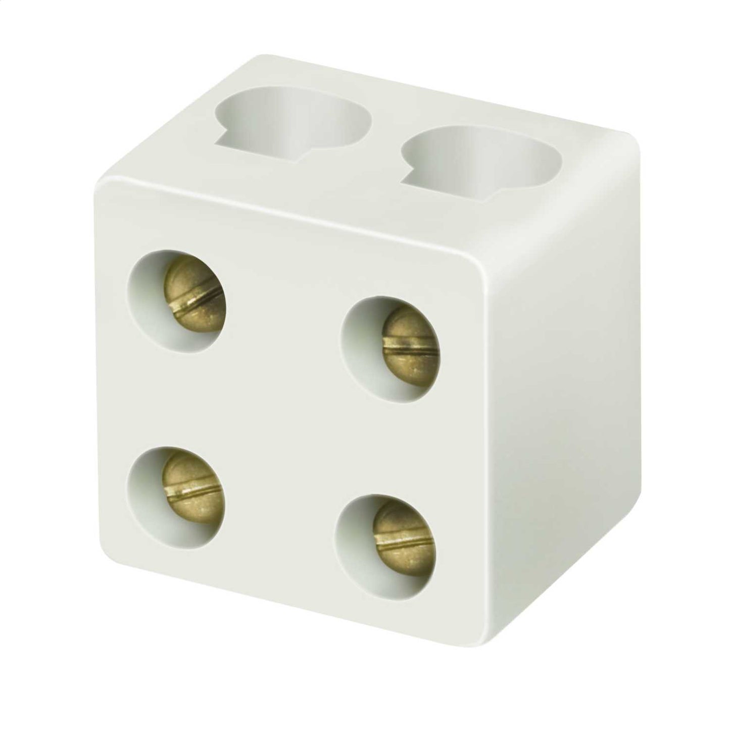15A 2 Pole Porcelain Connector Block (Sold in 1's)