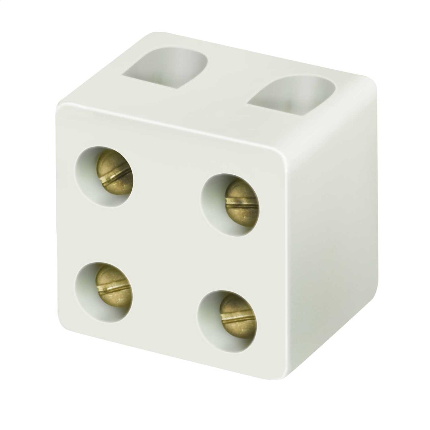 5A 2 Pole Porcelain Connector Block (Sold in 1's)