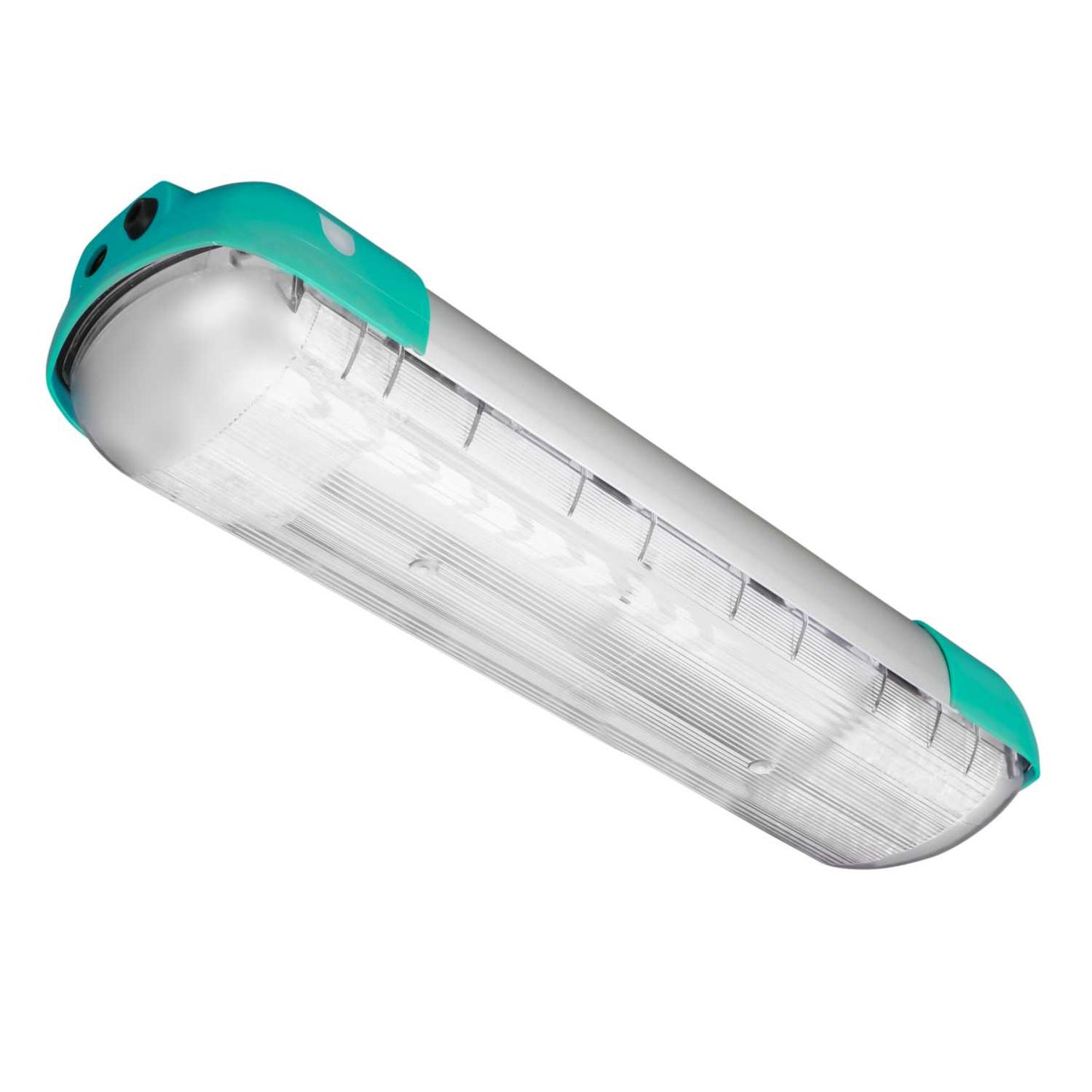 Petrel 30W 2ft LED ExE Zone 1 Emergency Fitting