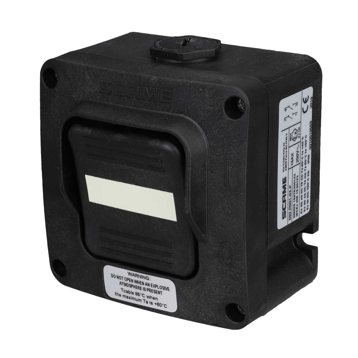 Scame 16A Double Pole Ex Switch