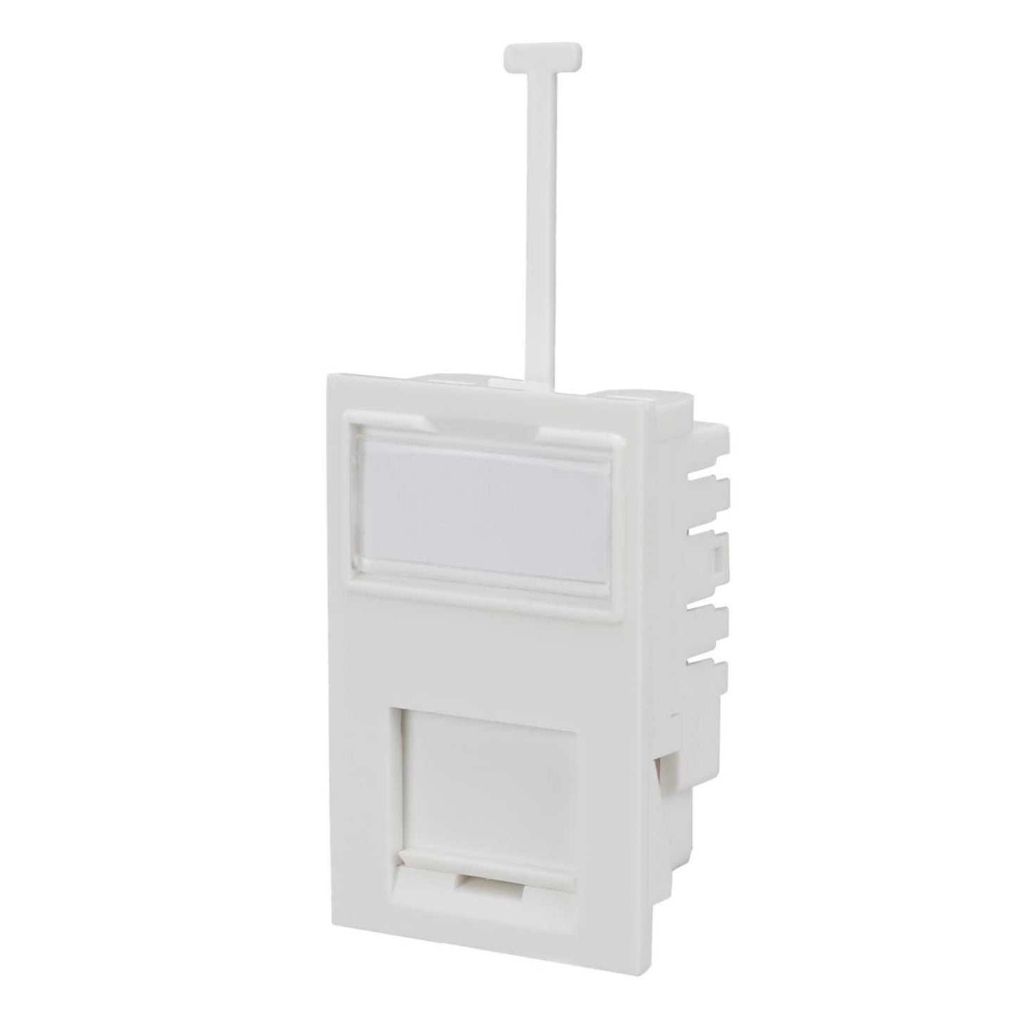 Securi-Flex CAT6 Unshielded RJ45 Low Profile 6C Module