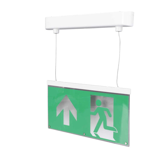 Xcite 2W LED Emergency Drop Light with Self Test