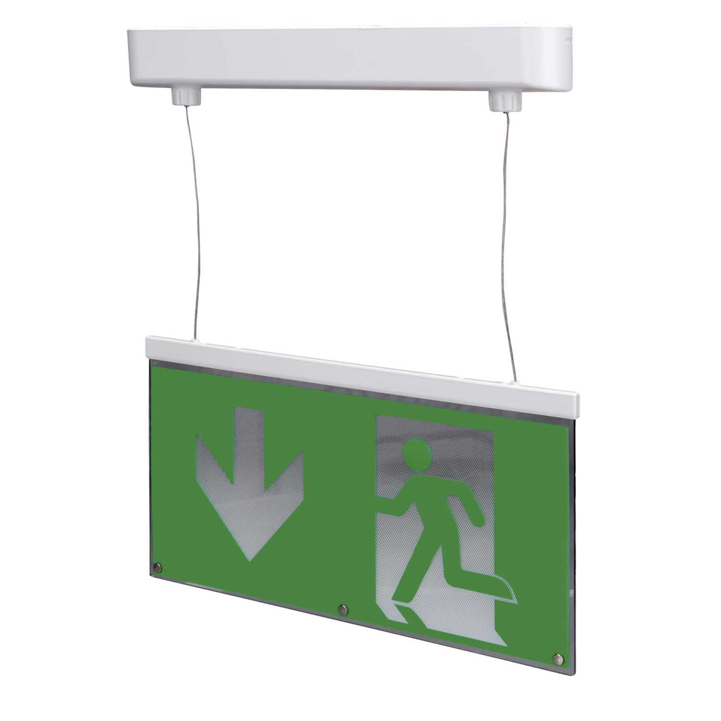 Xcite 2W LED Emergency Drop Light Arrow Down Legend with Self Test