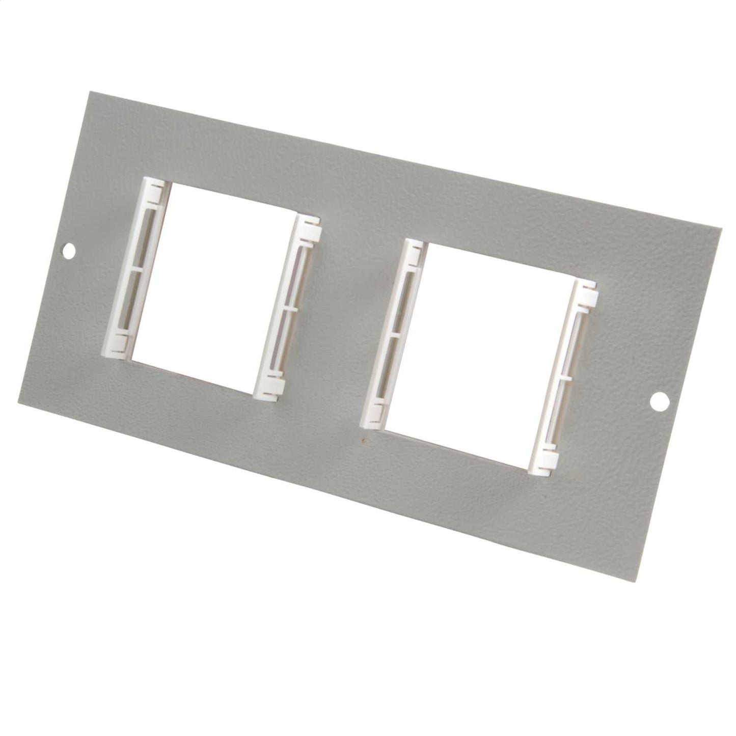 Tass 2 x 50mm x 50mm Euro Module Plate for Floor Box