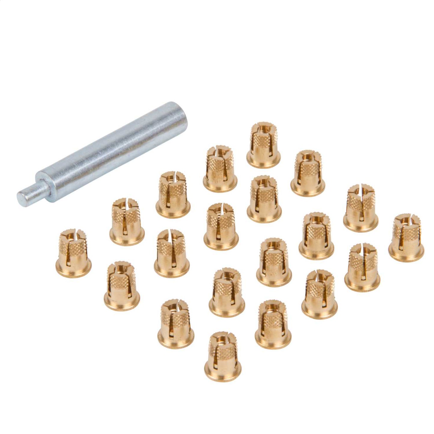 Schneider PanelSet Expandable M5 Nuts for Polyester Enclosures (Set of 20)