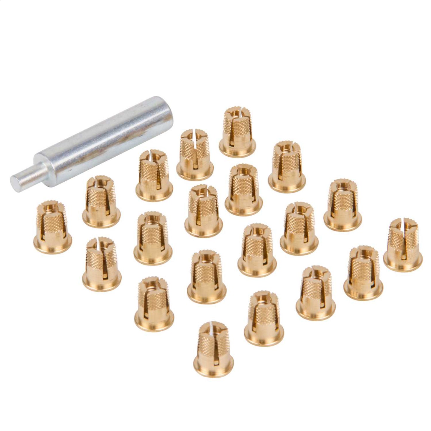 Schneider PanelSet Expandable M6 Nuts for Polyester Enclosures (Set of 20)