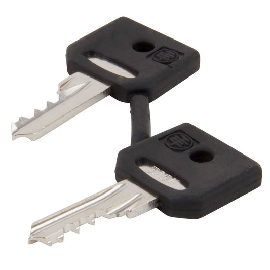 Schneider Harmony Ronis 520E Spare Keys (Set of 2)