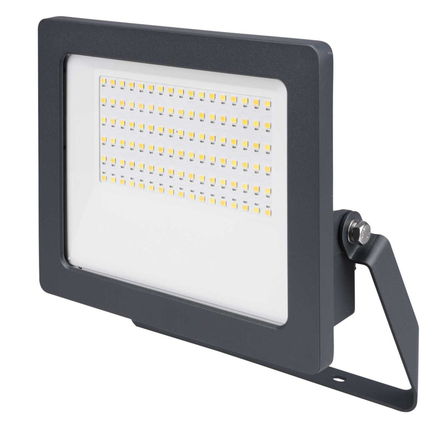 Thorn Leonie Vario Flex 40W LED Tri-Colour Floodlight Anthracite